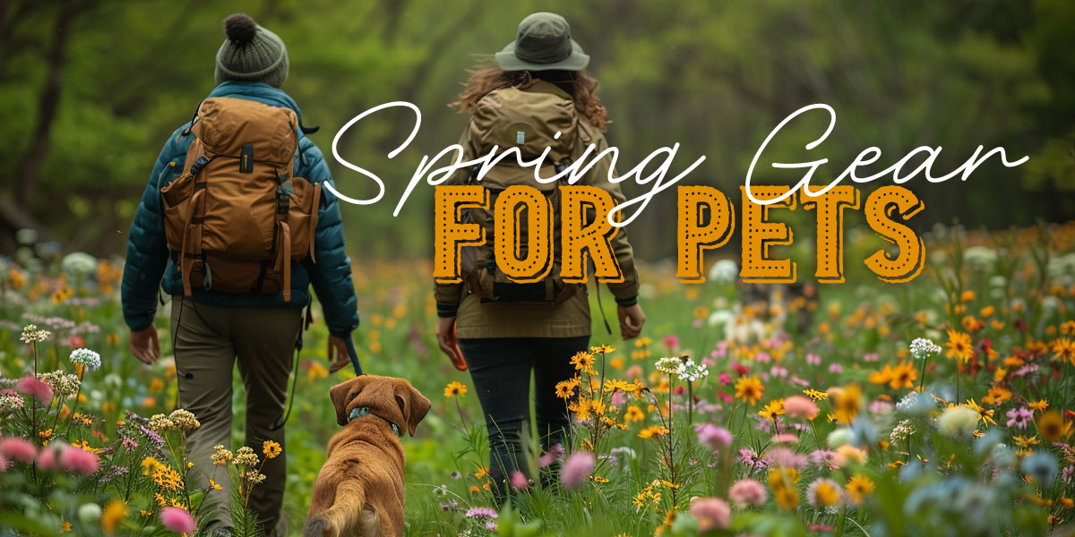 two people walking in a field of flowers with their dog
