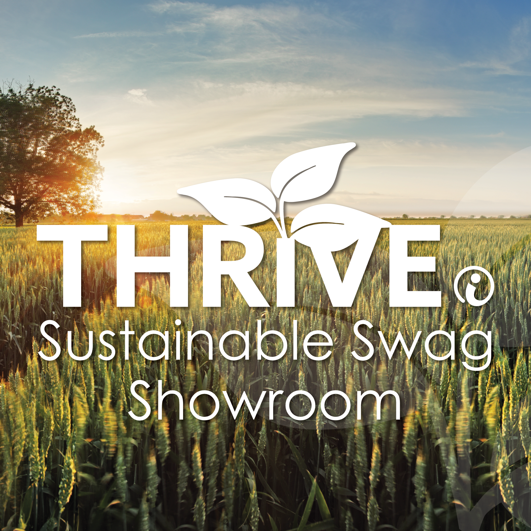 Image of sun setting over a green field of wheat with the Thrive Sustainable Swag logo superimposed on top.