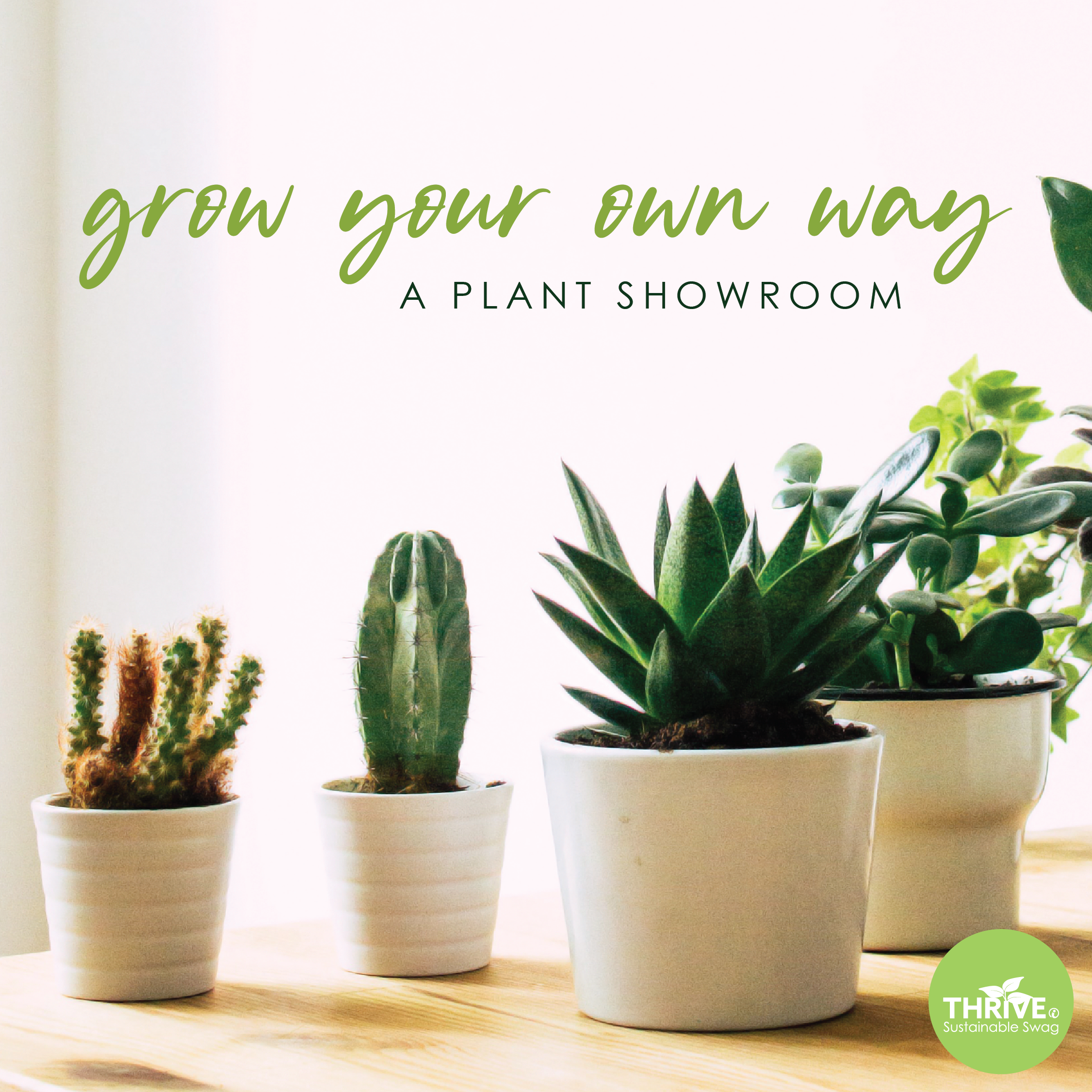 Image of four small potted succulents sitting on a wooden table with text that says Grow Your Own Way, a Plant Showroom.
