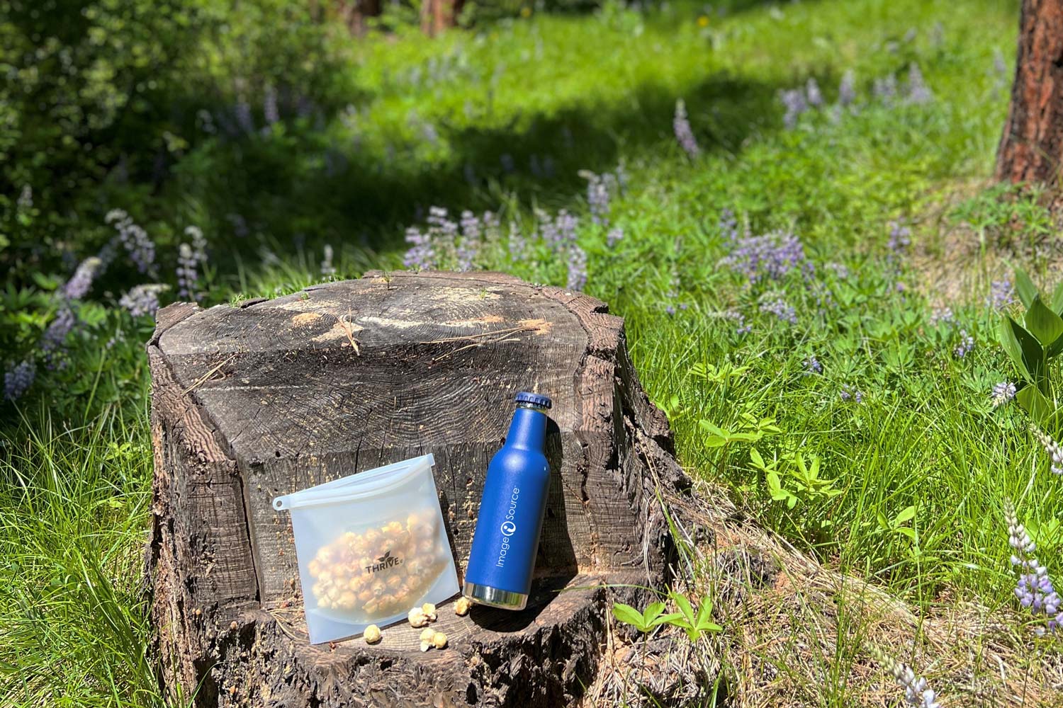 Image of water bottle and reusable ziplock bag filled with caramel corn on tree stump.