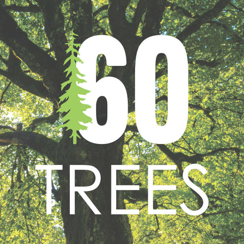 Plant 60 Trees