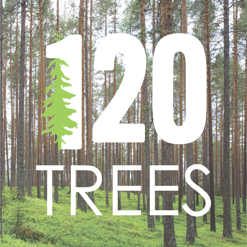 Plant 120 trees