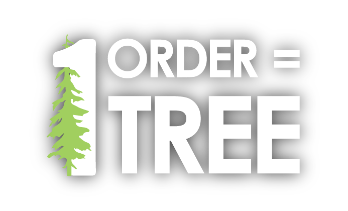 One Order Equals One Tree Text