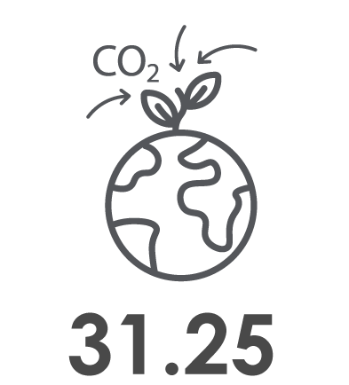 31.25 tons of CO2 absorbed from the atmosphere yearly.