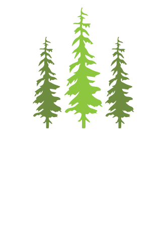 99,605 trees planted in the Image Source Forest since 2023