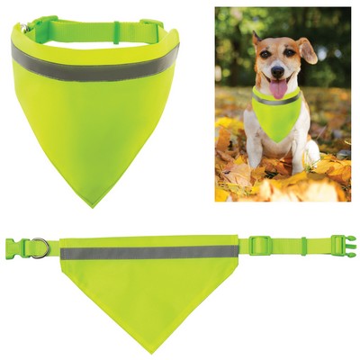 Dog wearing reflective bandana.